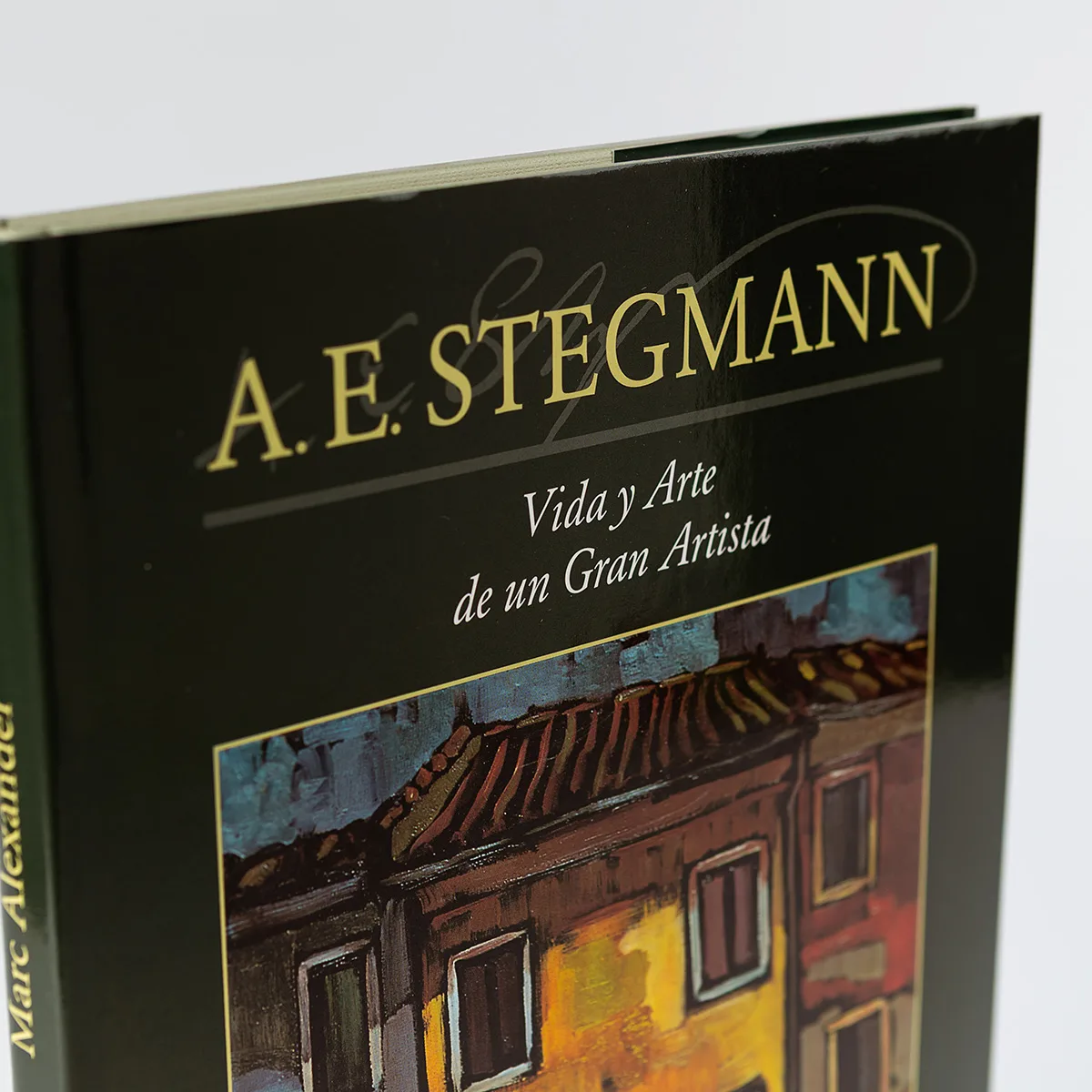 Libro "The Life and Art of a Remarkable Artist" de Stegmann Asociación de Pintores con la Boca y con el Pie