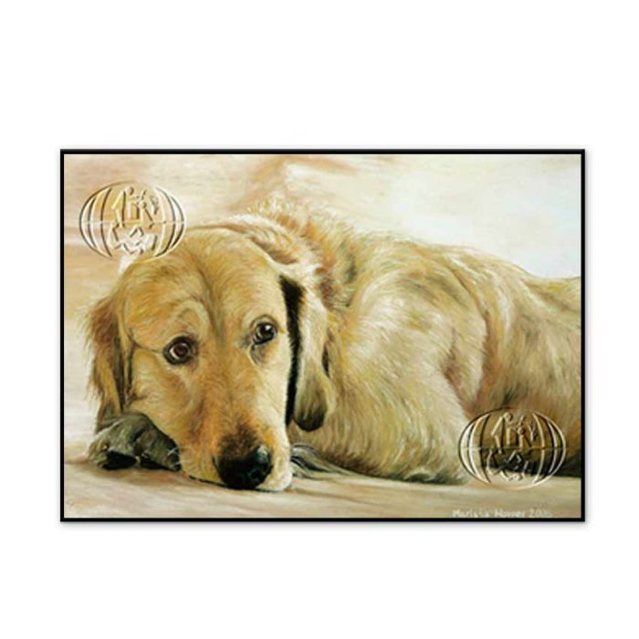 "Perro dorado descansando" de Mariola Wower
