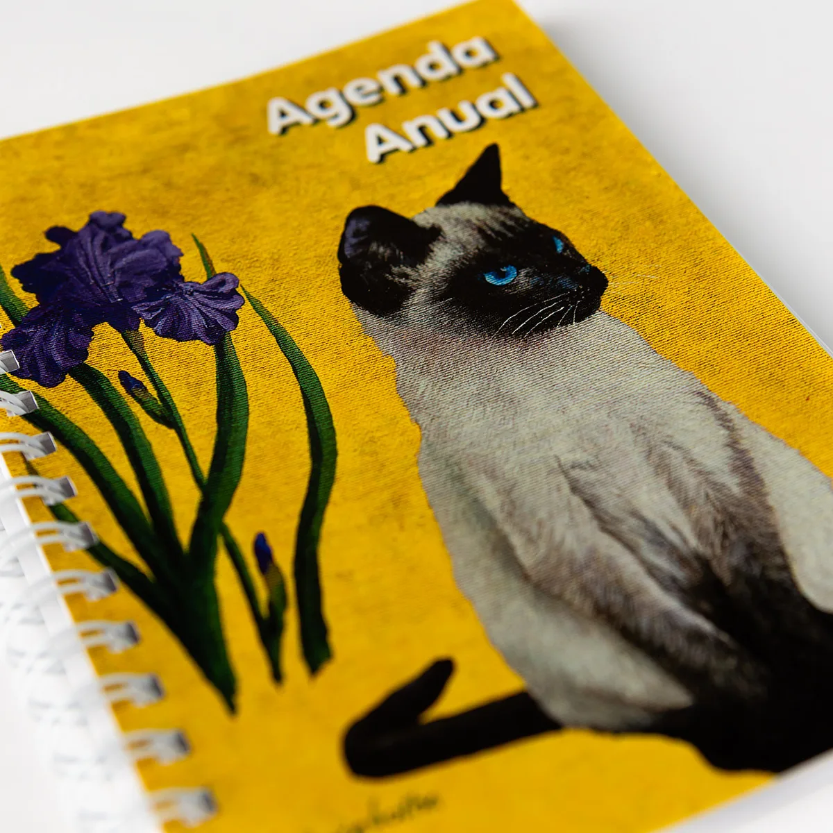 Agenda anual anillada "Gato" Asociación de Pintores con la Boca y con el Pie