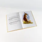 Libro "El valle encantado de Billy Viejo" Asociación de Pintores con la Boca y con el Pie