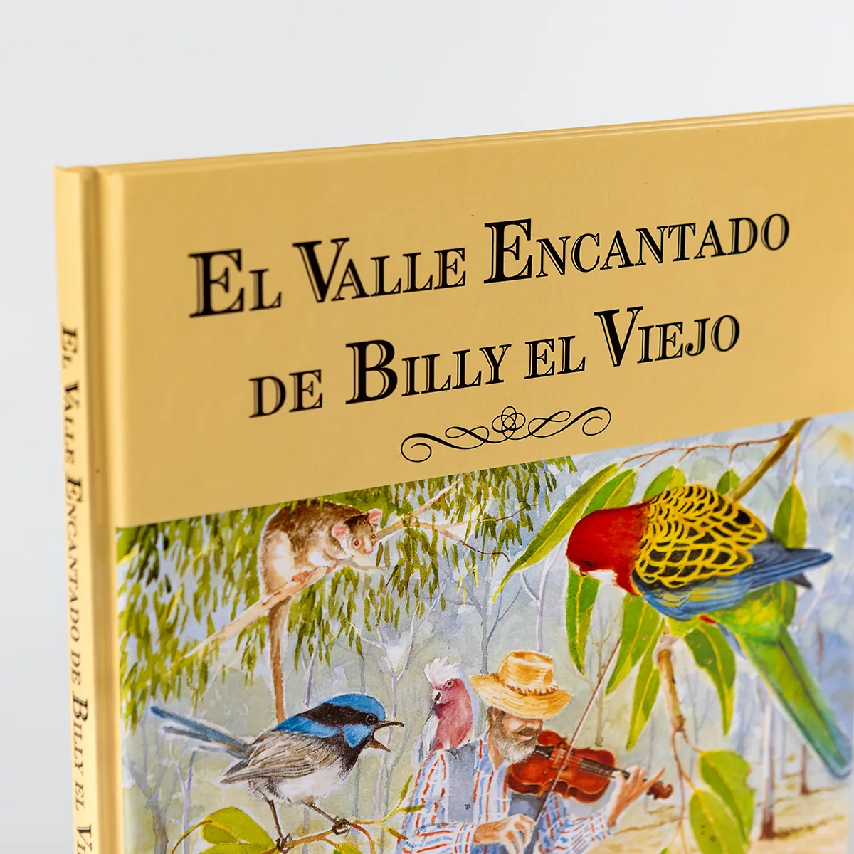 Libro "El valle encantado de Billy Viejo" Asociación de Pintores con la Boca y con el Pie