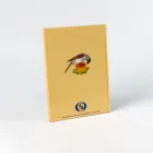 Libro "El valle encantado de Billy Viejo" Asociación de Pintores con la Boca y con el Pie